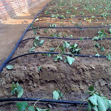 ���̰���